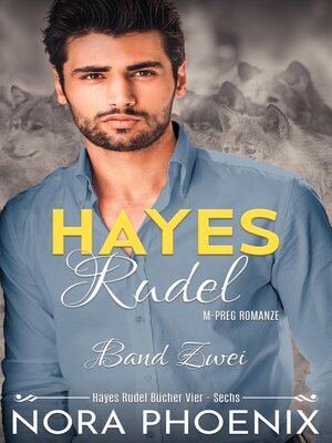 cover image of Hayes Rudel Band Zwei